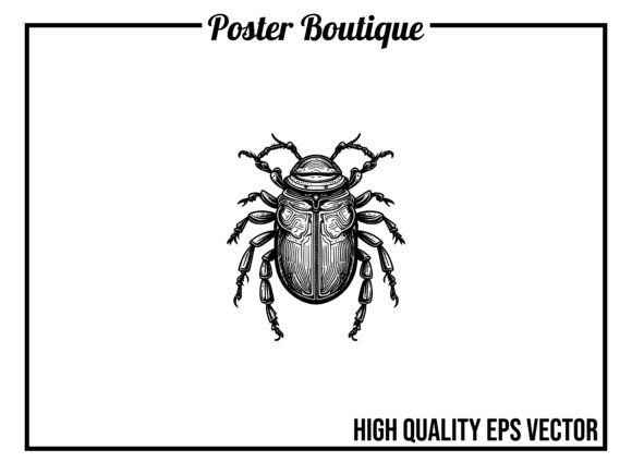 Beetle Wild Animal Vector EPS: A Designer's Guide