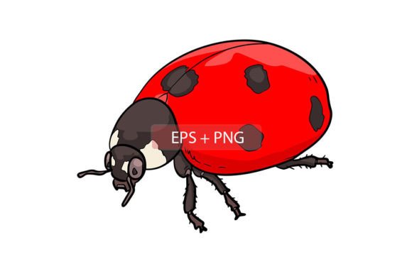 Charm and Versatility: Working with the Ladybug Insect Animal Illustration