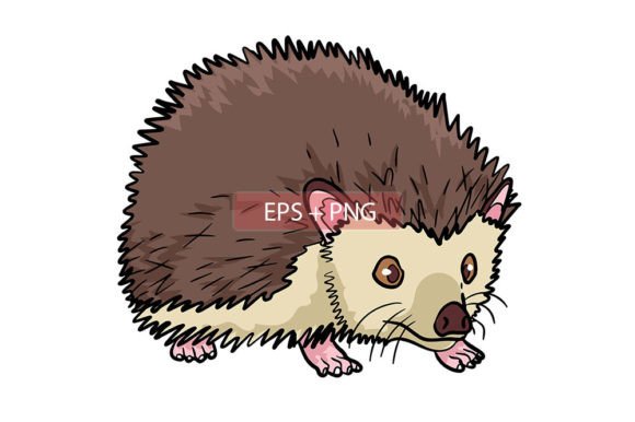 Charming Hedgehog Illustrations: A Designer's Asset