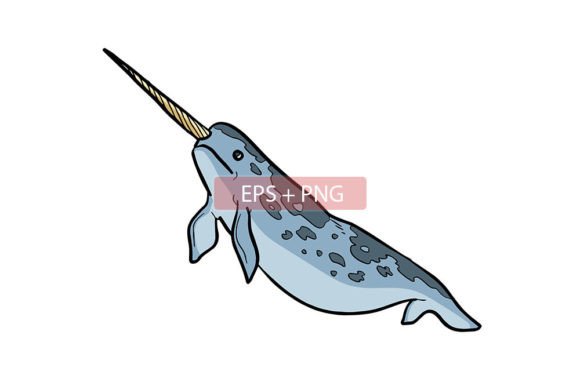 Charming Narwhal Illustrations: Versatile Design Assets