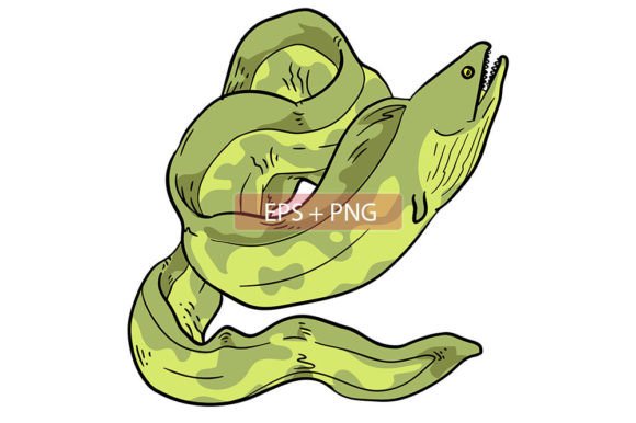 Creative Uses for Eel Sea Animal Illustration in Design
