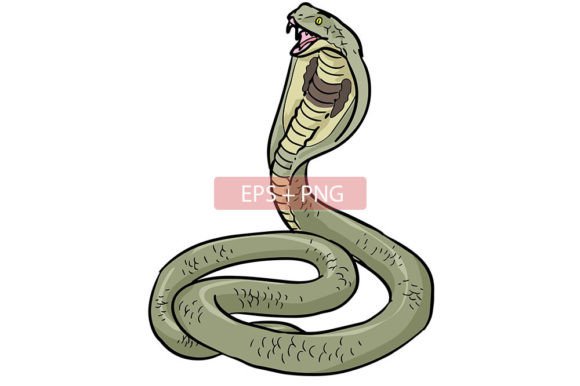 King Cobra Snake Animal Illustration: A Versatile Design Asset