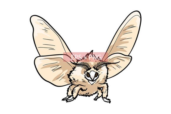 Moth Insect Animal Illustration: Nature's Nocturnal Design Asset