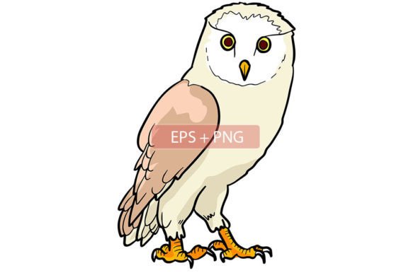 Owl Bird Animal Illustration: A Creative Toolkit for Modern Projects