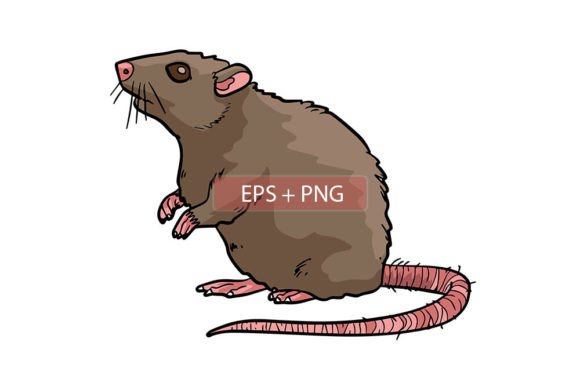 Rat Mouse Mammals Animal Illustration: A Versatile Design Asset