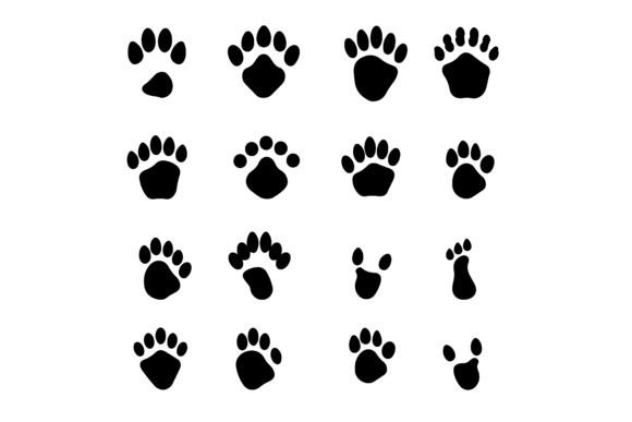 Unleash Your Creative Vision with Silhouette Animal Footprints