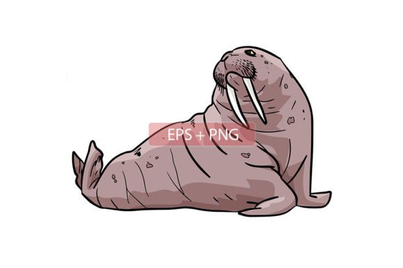 Walrus Mammals Animal Illustration: A Versatile Asset for Modern Creators