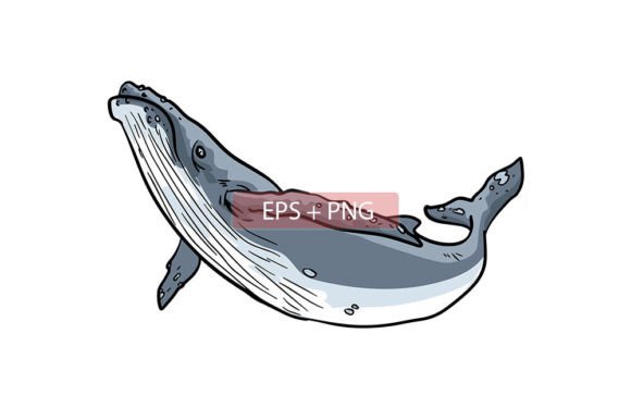 Whale Mammals Animal Illustration: A Deep Dive into Versatile Design Assets